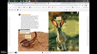 Amazing Wildlife of the Mojave