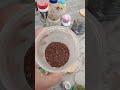 My garden fartilizer।। अपने पौधे में कौन कौन सा खाद दे ।।कौन सा खाद सबसे अच्छा रहता है।