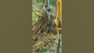 At the moment when the tree roots were pulled out, it was suddenly very easy! #shorts
