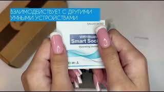 Умная двойная встроенная розетка Tuya для Алисы Яндекса WiFi 16А с таймером белая ROZ-2VS-W-бел