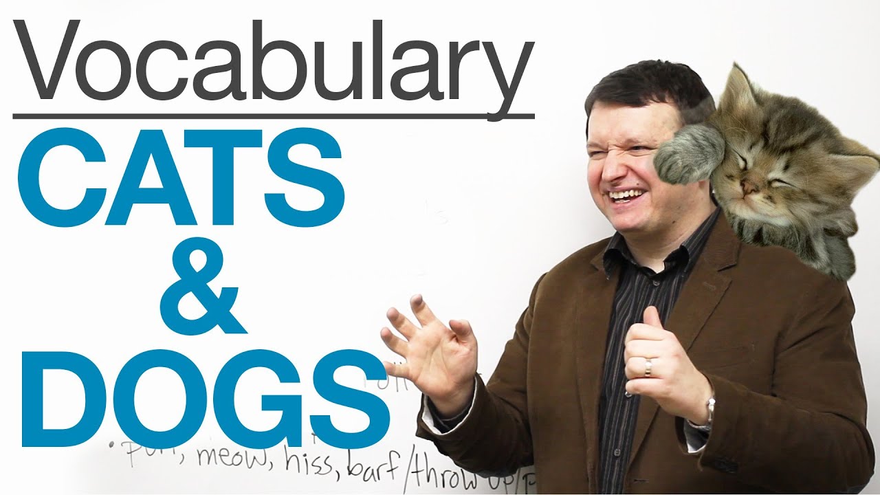 English Vocabulary - CATS & DOGS