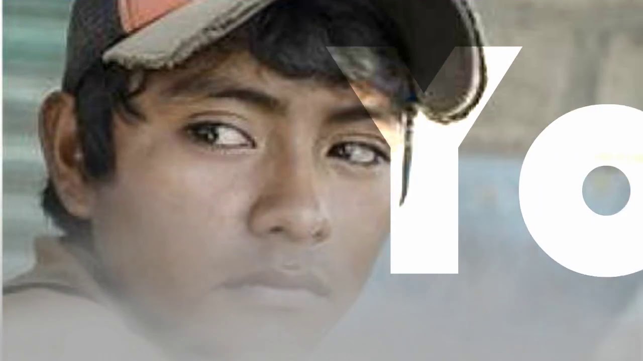 Flush Book Trailer YouTube