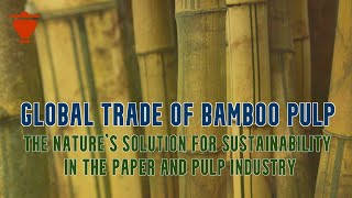 Bamboo Pulp: The Nature's solution for Sustainability in the Paper and Pulp Industry