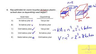 9 Sınıf Test 5 Dayanıklılık 6