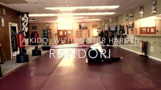 Western Masters Aikido screenshot 5