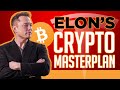 Elon Musk's Crypto Master Plan