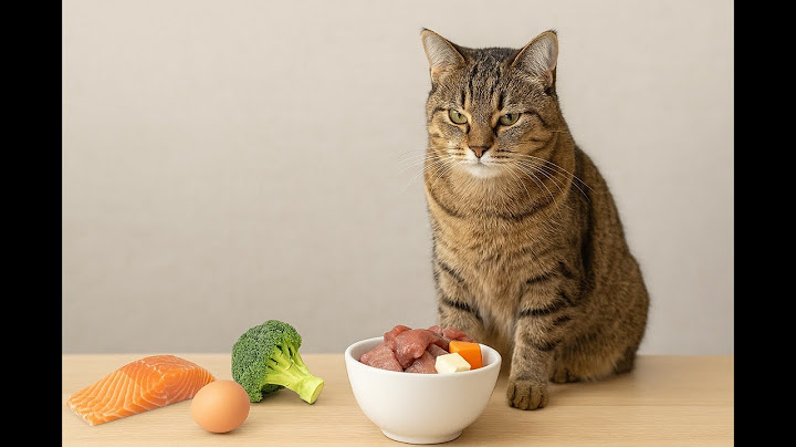 Самые необходимые продукты в натуральном рационе кошек, как рассчитать их количество и соотношение.
