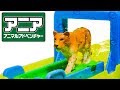 【アニア】沢山の可愛い動物がシャワーで水浴びをするよ♪ アニマルアドベンチャー