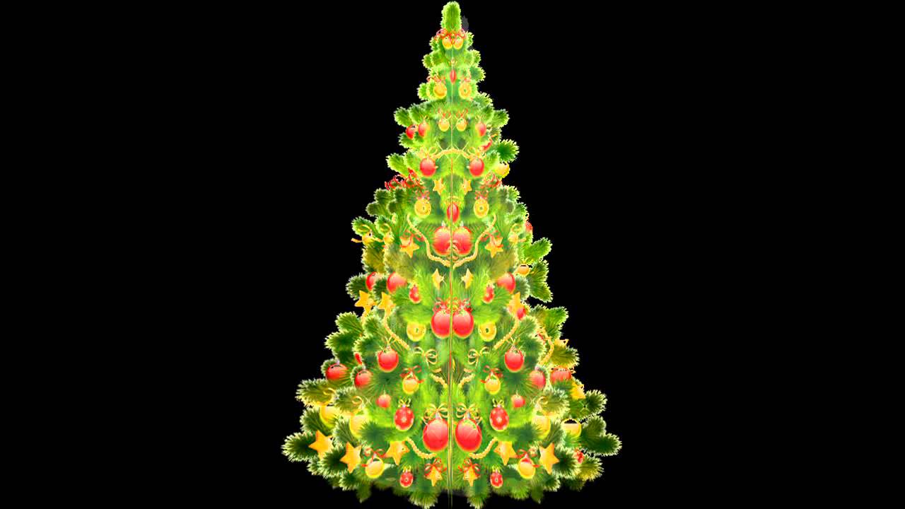 новогодняя елка на хромакее. новогодняя елка футаж. елка футаж хромакей. новогодняя елка на хромакее. елка футаж хромакей.