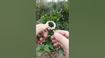 #vattuducduyen #bulong #taicau #inox304 #M10 Bulong tai cẩu inox 304 M10 mm âm + dương