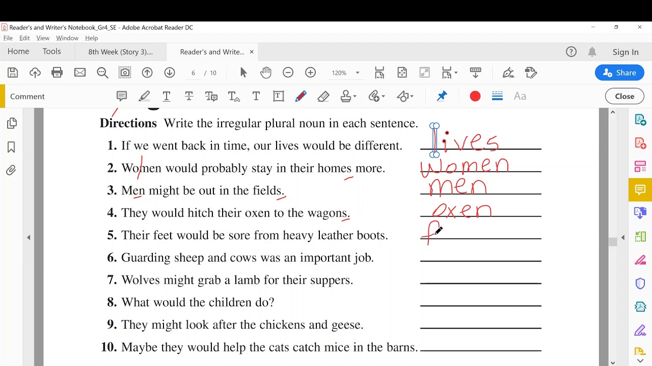 Readers' and Writers' Notebook Grade 4 Conventions Irregular