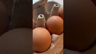 The Truth About Egg Labels: Decoding the Carton Wealth