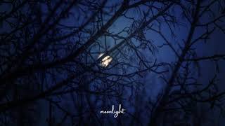 dēar - moonlight