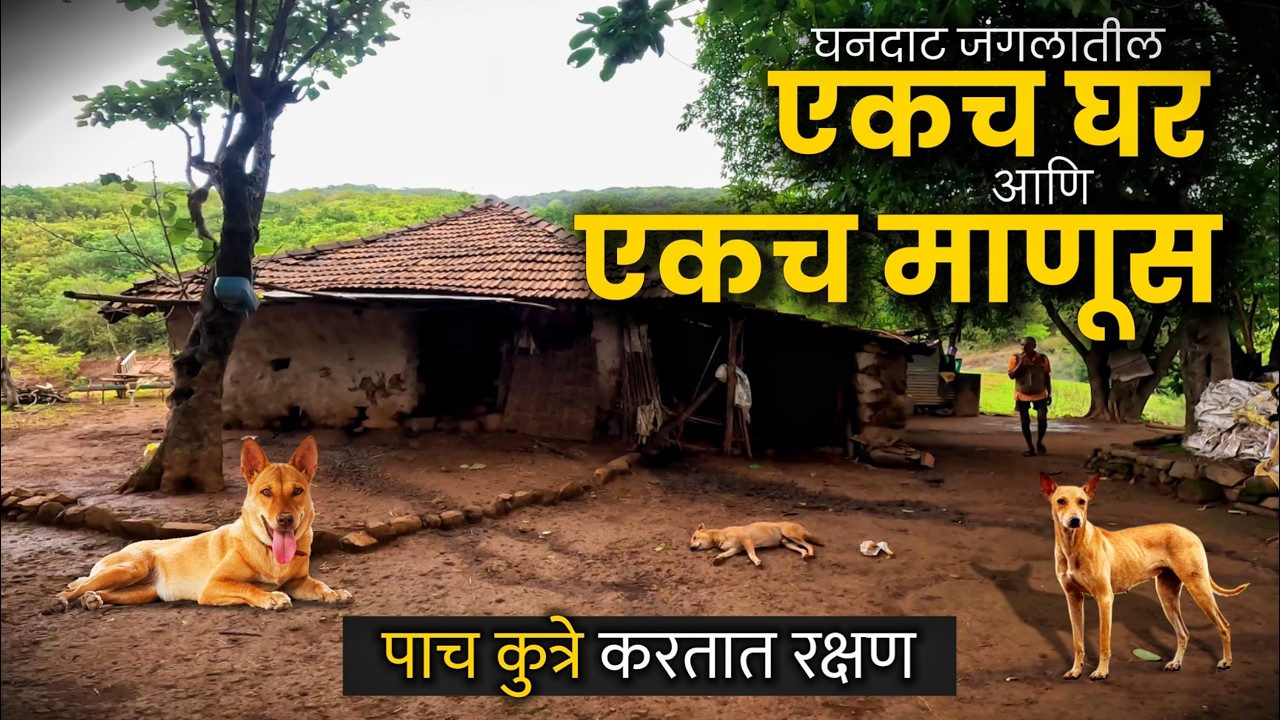 एवढ्या घनदाट 🌲 जंगलात आहे एकच घर 🛖 आणी या घरात राहतो फक्त एकच माणूस | Payvata | Village Life Vlog