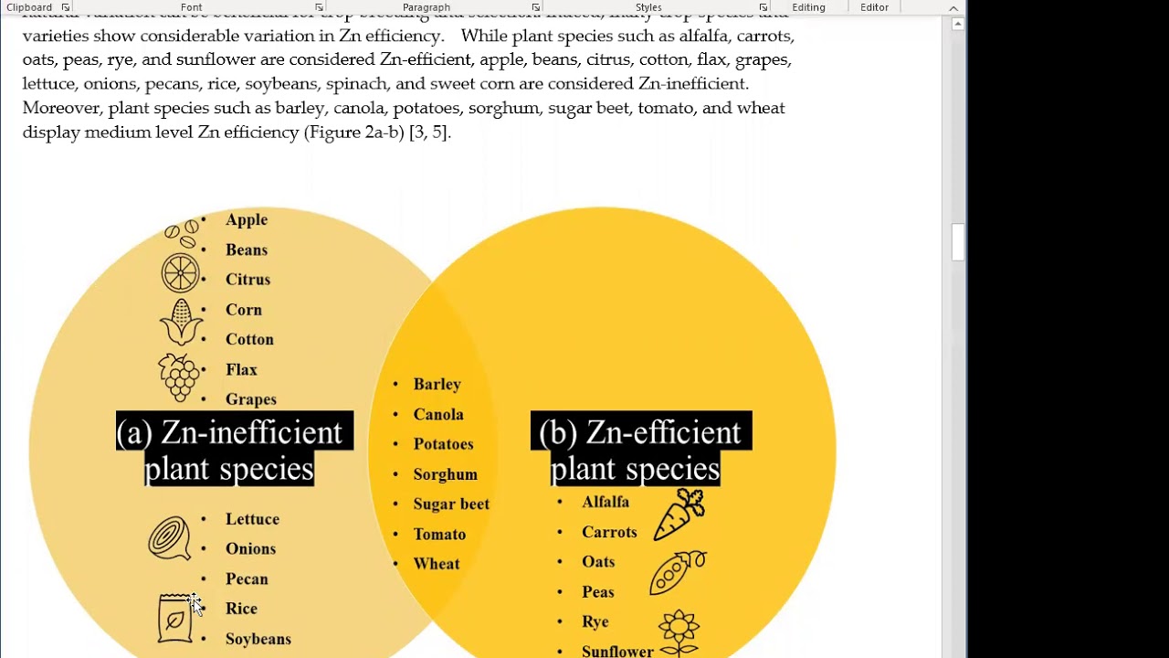 VIDEO-ABSTRACT: ZINC EFFICIENCY AND GLOBAL FOOD PRODUCTION