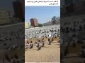 اللهم ارحم موتانا موت المسلمين 