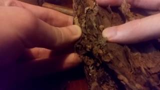 Short VS Long filler Cigars - The differences