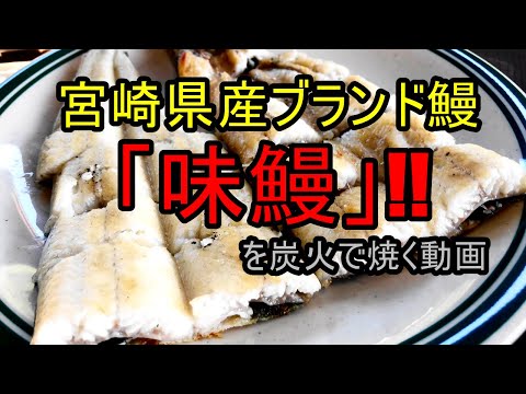 うなぎ屋さん探訪610～九州宮崎のブランド鰻をお取り寄せ、中村養鰻場「味鰻」さん
