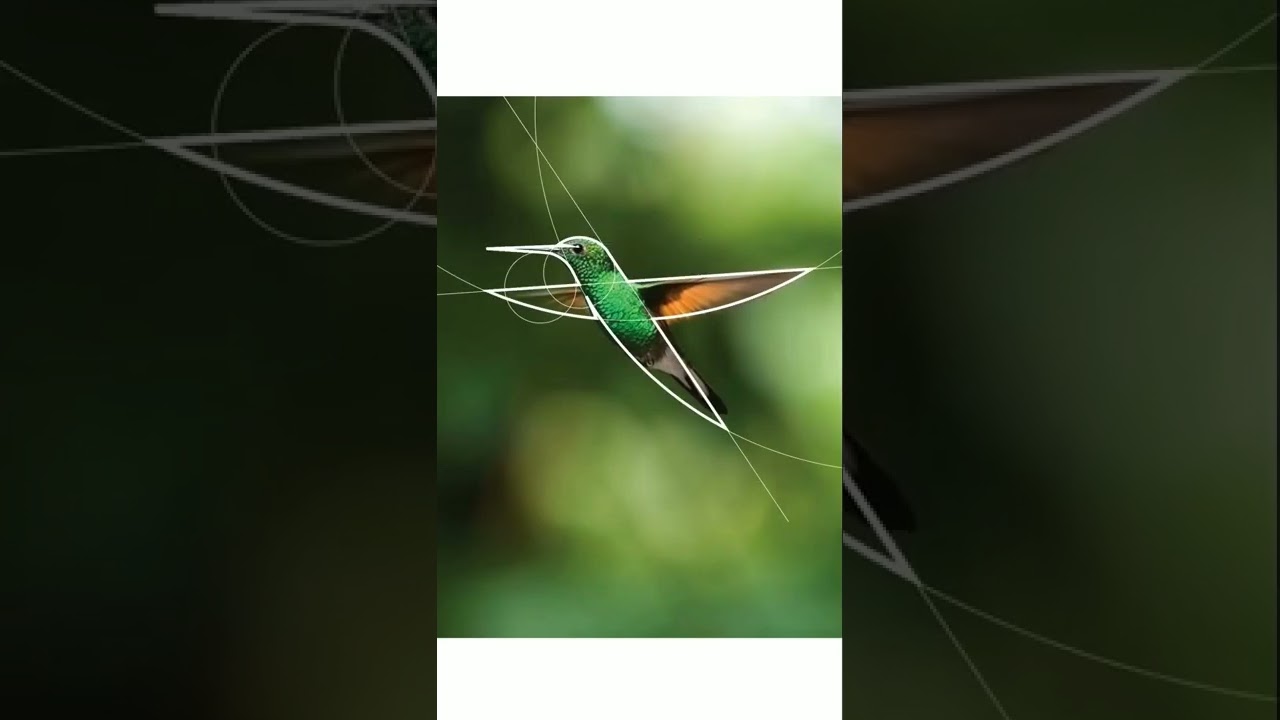 Power of Circles in making selection in#adobephotoshop ||create Amazing design in#photoshop