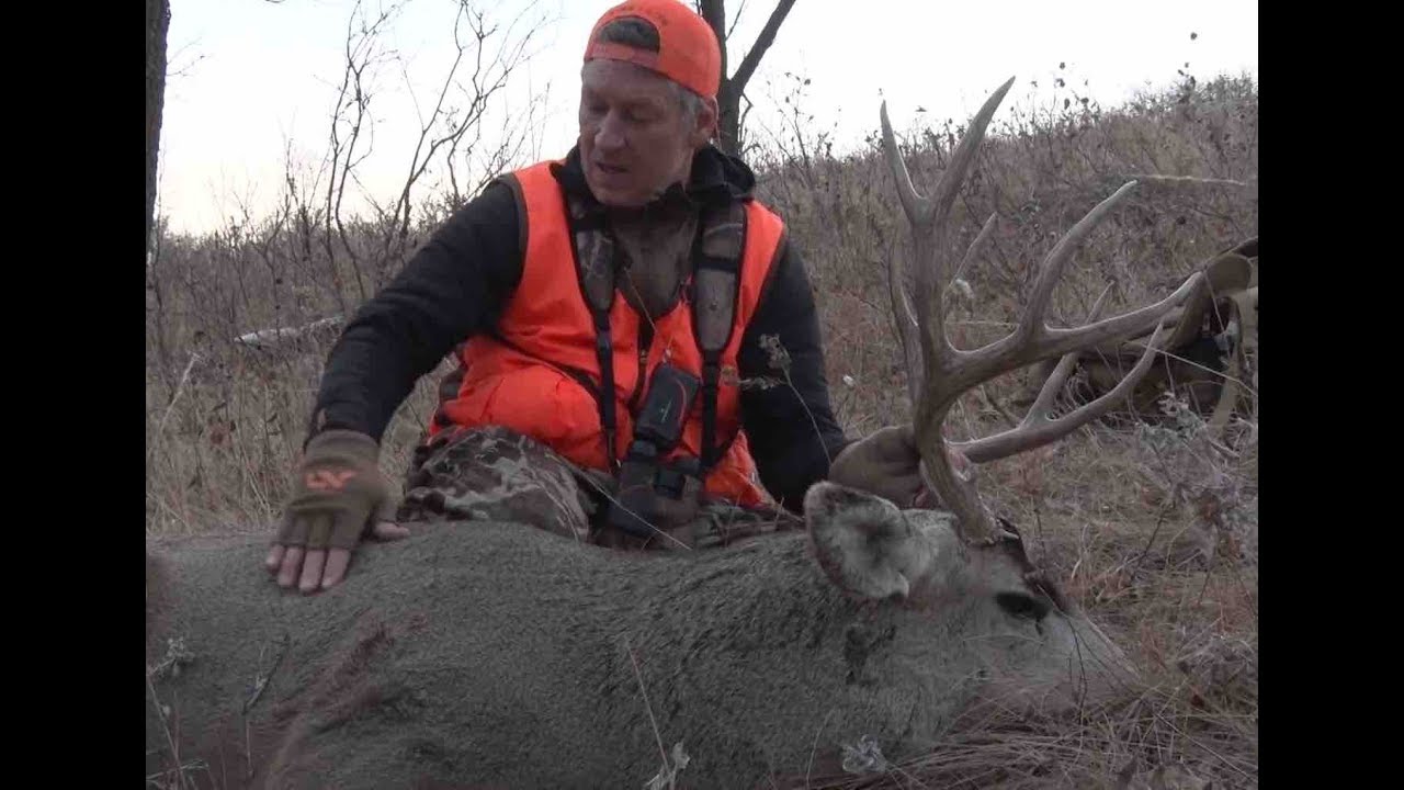 North Dakota/Montana Mule Deer YouTube