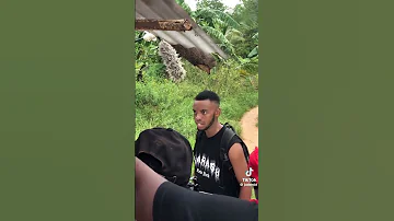 SNAKE BOY SEASON TWO BEHIND THE SCENES 