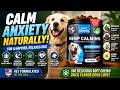 CHEWIA Hemp Calming Chews Review | Natural Anxiety Relief Treats for Dogs During Travel & Storms