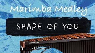 Shape of you (Ed Sheeran)/ Marimba Cover / Marimba Medley Resimi