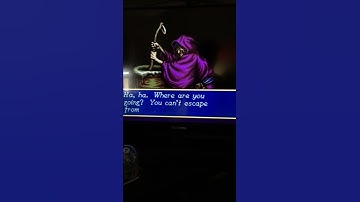 Shining Force 2 - What is this glitch