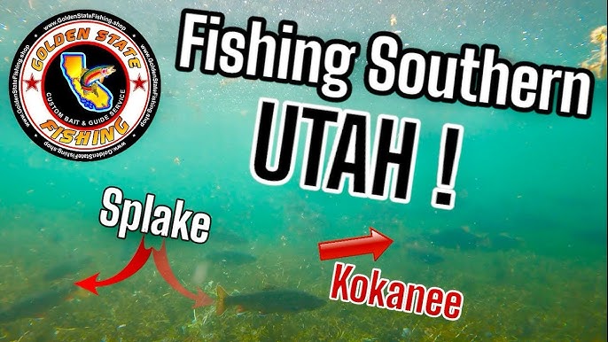 Southern Utah Trout Fishing, Panguitch Lake