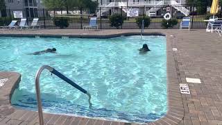 Hnub No Tuaj Da Dej Nawb