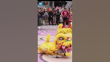 Thumbnail of Robot dogs join lion dance for Chinese New Year