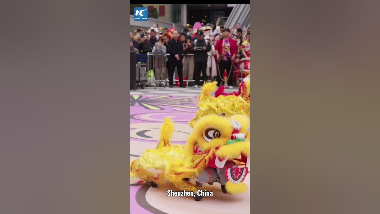 Robot dogs join lion dance for Chinese New Year Robot dogs join lion dance for Chinese New Year