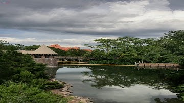 سورة النمل بصوت القارئ رعد الكردي