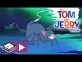 The Tom and Jerry Show  | Spider Tom | Boomerang UK 🇬🇧