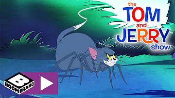 The Tom and Jerry Show  | Spider Tom | Boomerang UK 🇬🇧
