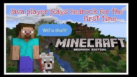 Minecraft java player plays bedrock for the first time............