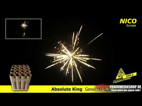*Absolute King* Leuchtbatterie