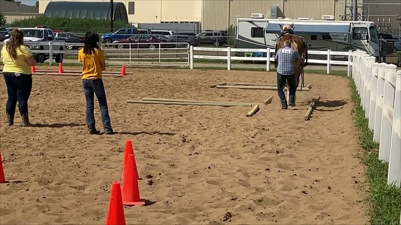 Loose Line with Thor - Porter County Fair