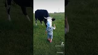 #корова