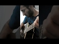 Animals - House of the rising sun ( cover Davood Faramarzi )