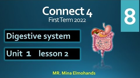 8- connect 4  unit 1 lesson 2 digestive system  | الصف الرابع الابتدائي كونكت 4 الجهاز الهضمي