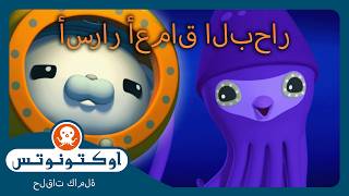 أوكتونوتس | 🤿 أسرار أعماق البحار 🌊 | حلقات مجمعة