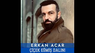 Erkan Acar - Çiçek Eğmiş Dalını  Resimi