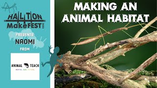 Making a Stick Insect Habitat | Animal Teach