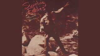 Video thumbnail of "The Swirling Eddies - Hold Back The Wind, Donna"