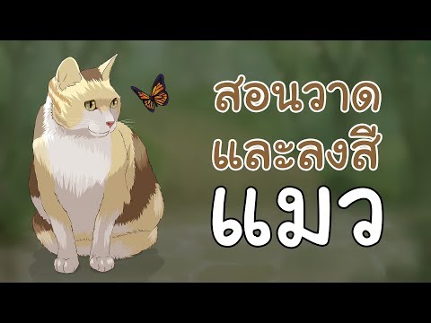 วีดีโอ: วิธีการวาดแมวด้วยสี