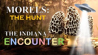 Morels: The Hunt - The Indiana Encounter