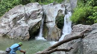 Hidden Stream in the Woods | Short Calm Nature Video