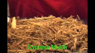 Cypress Mulch @ Angelo's Supplies