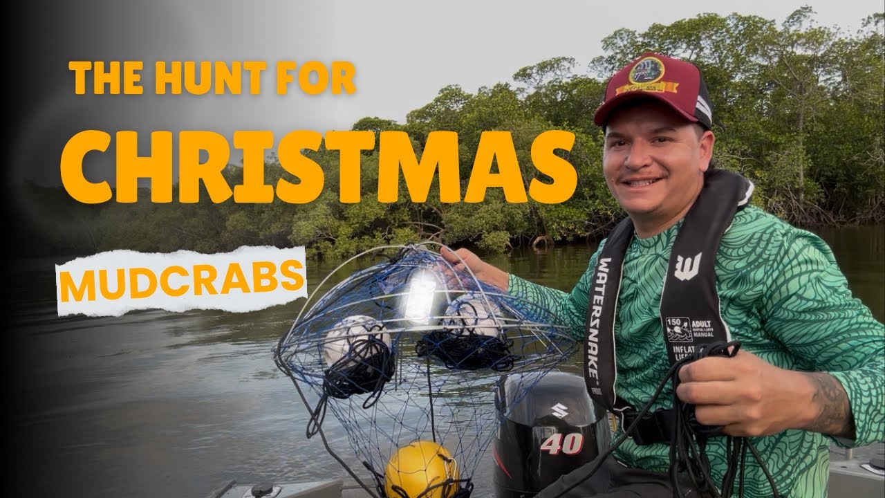 Охота на гигантских грязевых крабов в Северном Квинсленде с помощью горшочков с укропом.
